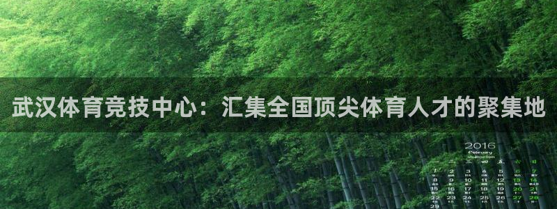 vsport体育官网下载开户：武汉体育竞技中心：汇集