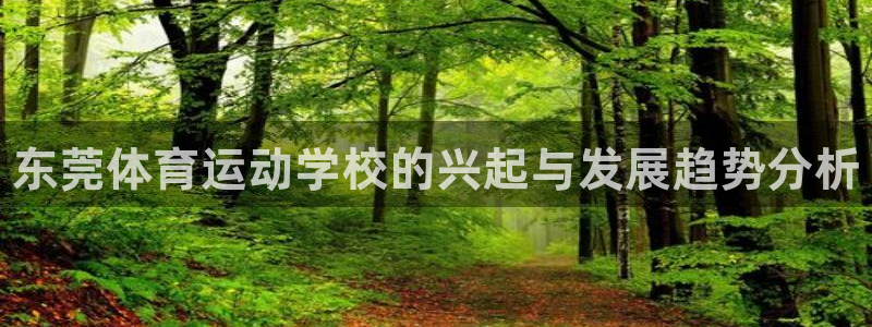vsport体育官方正版app娱乐网站：东莞体育运动