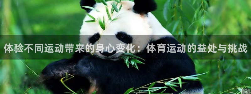 vsport体育官网下载平台：体验不同运动带来的身心变化：体