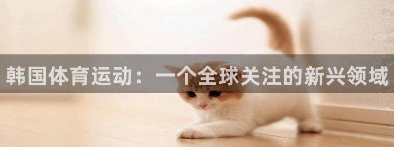 vsport体育官方正版app娱乐代理怎么样：韩国体育运动：