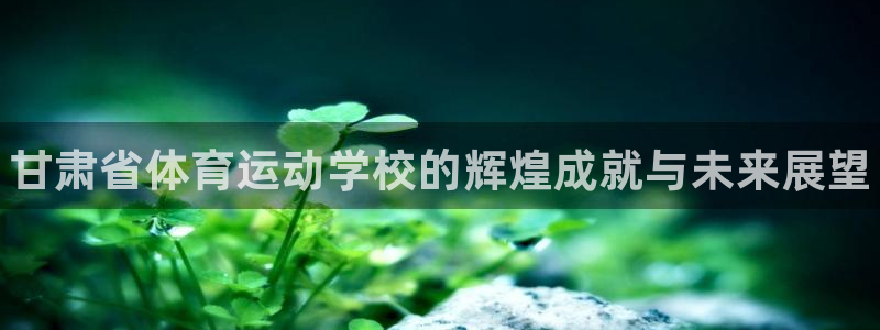 vsport体育官方正版app开户：甘肃省体育运动学