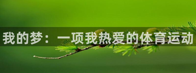 vsport体育官网下载平台注册要钱吗安全吗：我的梦：一项我
