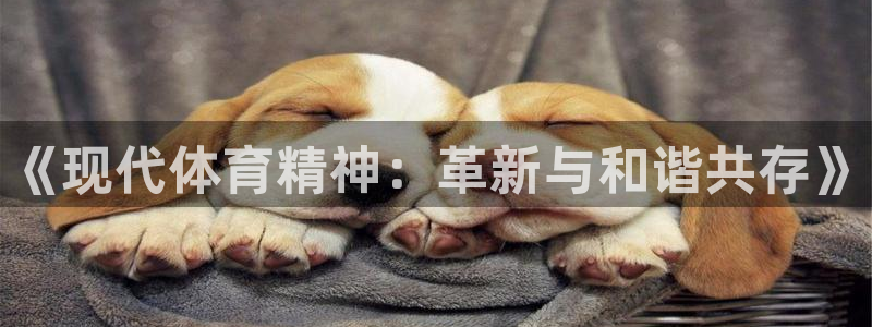 vsport体育官网下载招商电话地址查询：《现代体育精神：革