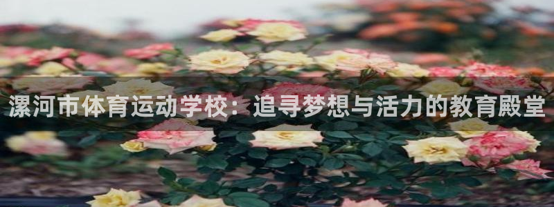 vsport体育官方正版app娱乐网站：漯河市体育运