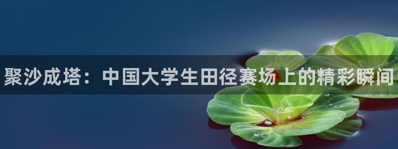 vsport体育官网下载招商电话号码查询：聚沙成塔：