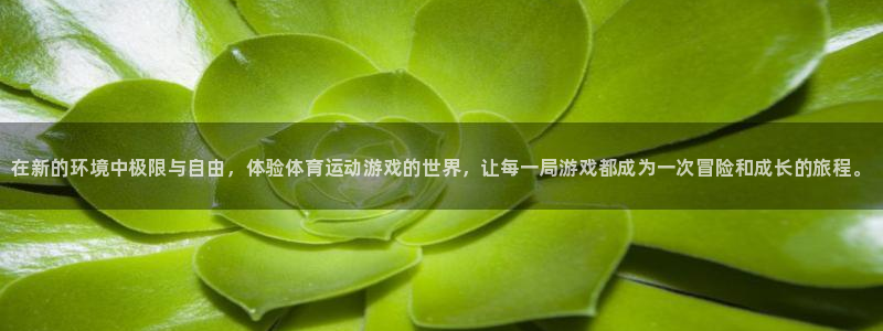 vsport体育官方正版app神州：在新的环境中极限与自由，