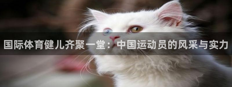 vsport体育官网下载招商电话是多少啊：国际体育健儿齐聚一