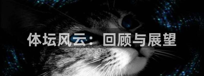 vsport体育官方集团官网：体坛风云：回顾与展望