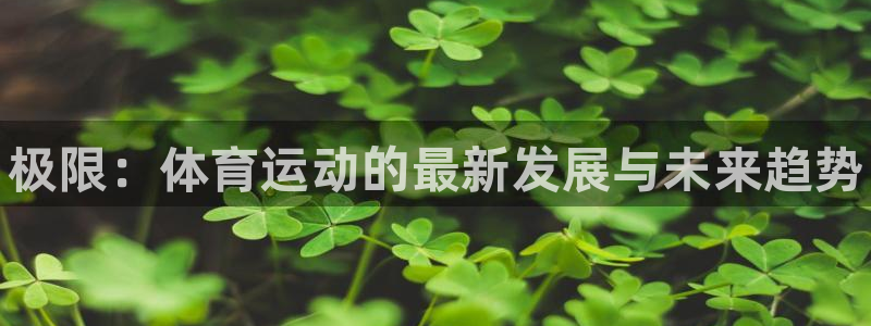 vsport体育官网下载平台是正规平台吗知乎：极限：体育运动