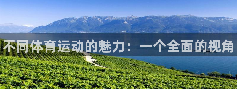 vsport体育官方正版app代理：不同体育运动的魅力：一个