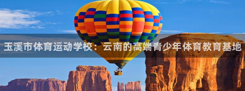 vsport体育官方正版app科技