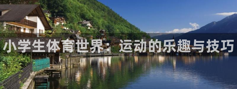 vsport体育官方正版app娱乐代理怎么样：小学生