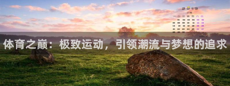 vsport体育官网下载招商电话地址查询：体育之巅：极致运动