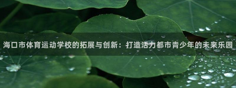 vsport体育官方正版app科技：海口市体育运动学