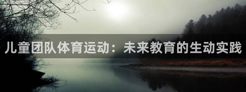 vsport体育官方正版app娱乐是那个系列的台子：
