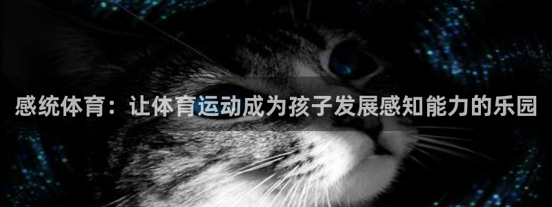 vsport体育官网下载平台注册要钱吗：感统体育：让