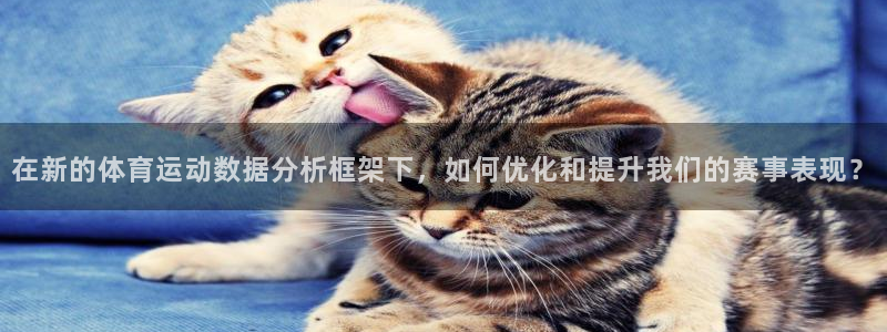海南vsport体育官网下载发展怎么样：在新的体育运