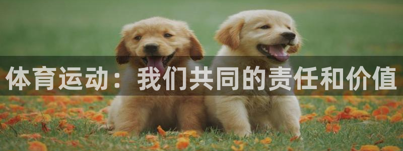 vsport体育官网下载招商电话地址查询：体育运动：我们共同