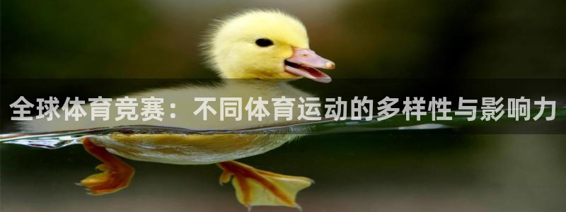 vsport体育官网下载娱乐：全球体育竞赛：不同体育运动的多