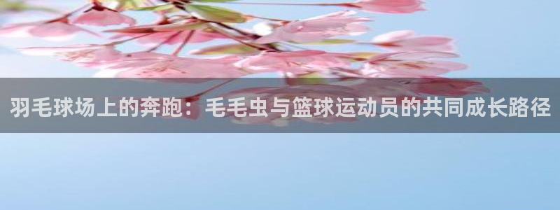 vsport体育官网下载平台注册：羽毛球场上的奔跑：毛毛虫与