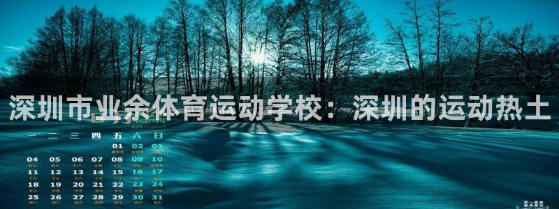 vsport体育官网下载招商电话是多少啊
