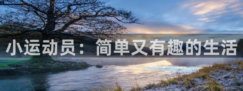 vsport体育官网下载是干嘛的公司