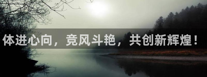 vsport体育官方正版app集团