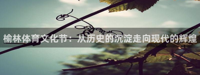 vsport体育官方正版app新能源：榆林体育文化节：从历史