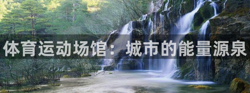 德国vsport体育官方正版app集团：体育运动场馆：城市的