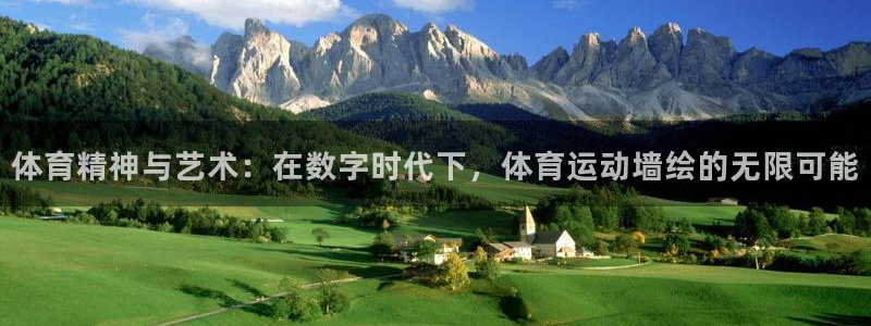 vsport体育官网下载招商电话是多少：体育精神与艺术：在数