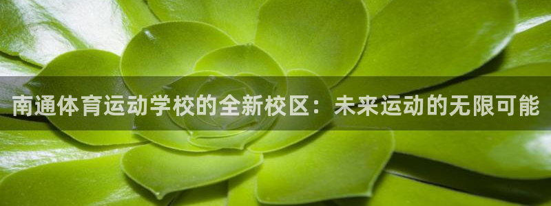 vsport体育官网下载：南通体育运动学校的全新校区：未来运