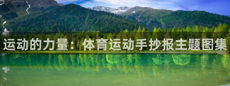 vsport体育官网下载招商电话地址