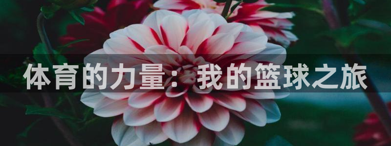 vsport体育官方正版app集团官网首页网址：体育的力量：