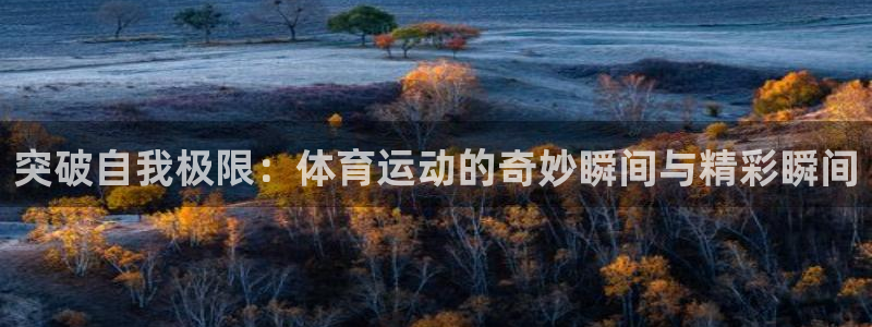 vsport体育官方正版app代理