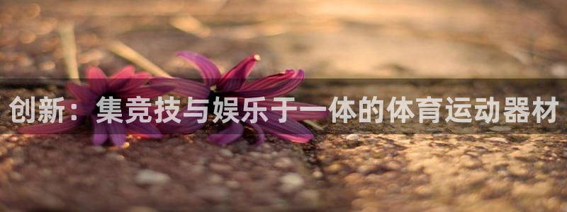 vsport体育官网下载招商：创新：集竞技与娱乐于一体的体育