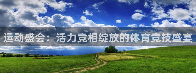 vsport体育官网下载平台APP：运动盛会：活力竞相绽放的