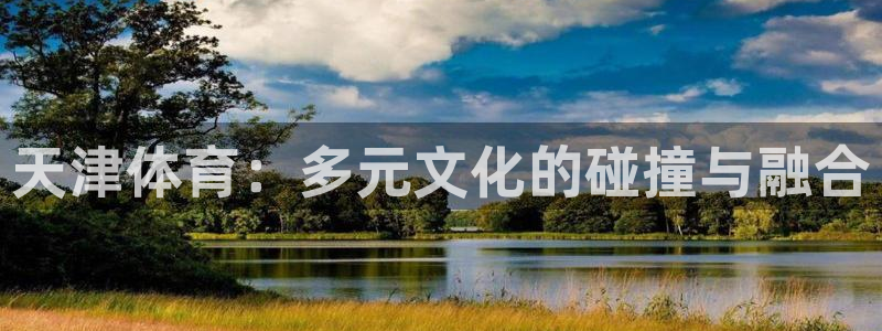 vsport体育官方正版app新能源：天津体育：多元文化的碰