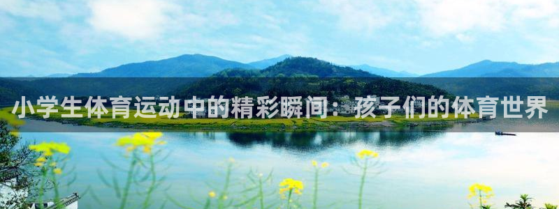 vsport体育官网下载是干嘛的公司：小学生体育运动中的精彩