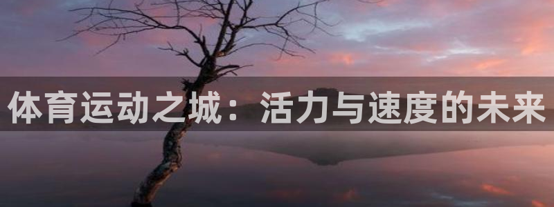 vsport体育官网下载平台注册要钱吗：体育运动之城