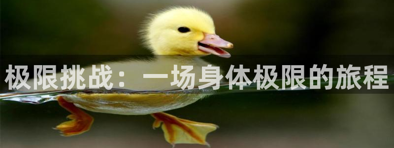 vsport体育官网下载招商电话号码查询：极限挑战：