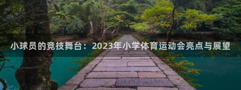 vsport体育官网下载开户：小球员的竞技舞台：2023年小