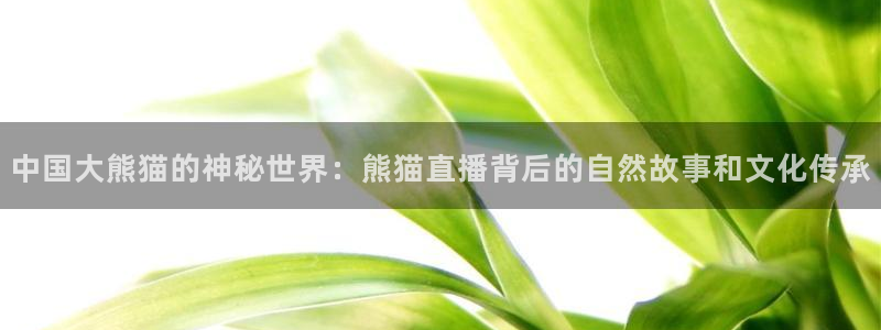 jrkan直播免费高清体育直播
