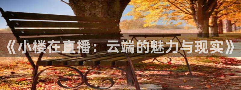jrkan直播体育：《小楼在直播：云端的魅力与现实》