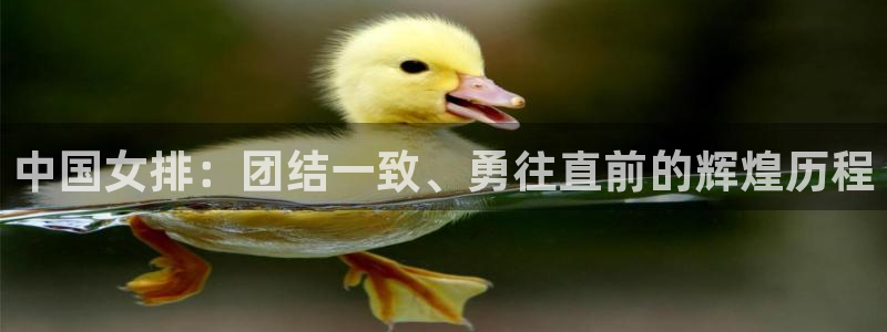 jrkan体育在线直播免费观看：中国女排：团结一致、勇往直前的辉煌历程