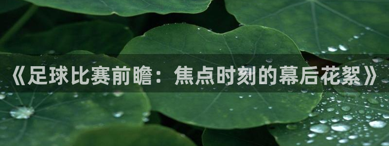 jrkan篮球直播：《足球比赛前瞻：焦点时刻的幕后花絮》