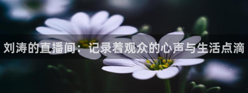 jrkan纬来直播nba：刘涛的直播间：记录着观众的心声与生活点滴